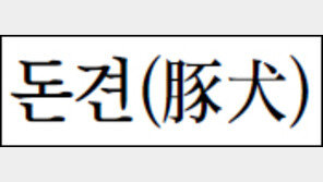 [김원중의 한자로 읽는 고전]<68>돈견(豚犬)