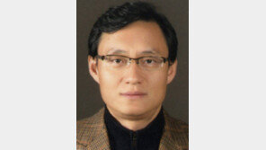 [광화문에서/정용관]‘인젝션’의 덫