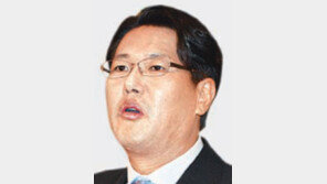 MB외교 ‘소년 책사’ 김태효 결국 낙마