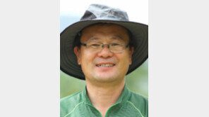 [기고/서정화]“혹시나” 하며 만든 인공 새(鳥)집에 솔부엉이가 살다니…