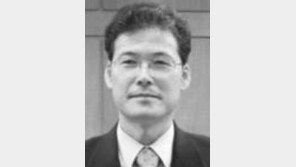 [시론/김영호]8·15를 세계의 눈으로 보자