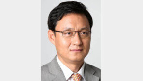 [광화문에서/정용관]손학규의 ‘지난여름’