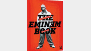 [실용기타]美 슈퍼스타 래퍼 에미넴, 그의 파격적인 음악 세계