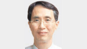 수리과학硏 소장 김동수 교수