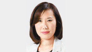 [기자의 눈/정미경]美 민주당에 ‘정부’는 더러운 단어… 공화당의 큰정부 비난에도 무대응