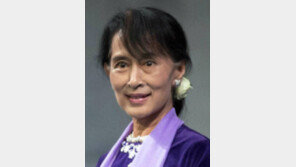 아웅산 수치 여사 20여년 만에 방미