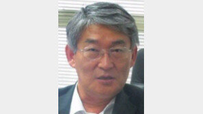 [기고/김영원]위안부 문제를 국제 이슈로 만들자