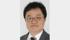 [@뉴스룸/전승훈]사드는 다시 불태워져야 하는가