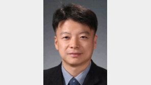 [시론/윤종빈]이정희, 대선 출마한 진짜 이유