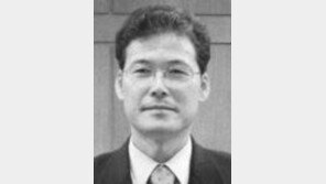 [기고/김영호]한국정부가 북한인권문제 주도해야