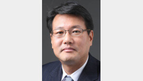 [동아광장/김태효]홧김에 질러보는 핵무장론 득 안 된다