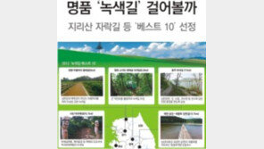 [수도권]올 여름휴가 명품 ‘녹색길’ 걸어볼까