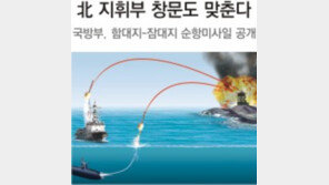 [北 3차 핵실험 후폭풍]북한군 지휘부 건물 창문까지 초정밀 타격