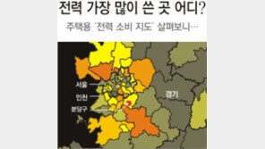 성남 분당구 전력소비 전국 최고… 에어컨 40일간 종일 튼셈