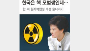 [한반도 핵 줄다리기]<상> 북핵에 발목잡힌 한미 원자력협정