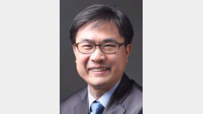 [오늘과 내일/하태원]공공외교, 마음속의 ‘코리안 루트’