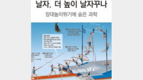 [대구육상]한번만 더 날자꾸나, 그렇게 되뇌었건만… 女장대높이뛰기 ‘미녀새의 추락’