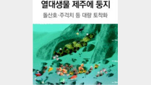 제주 바닷속 한눈에… 돌산호-주걱치-황붉돔 등 열대생물 대량 토착화