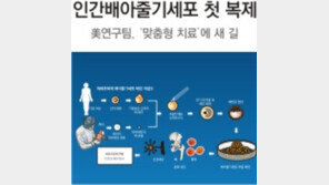 美연구진, 체세포 복제방식 인간배아줄기세포 추출 성공