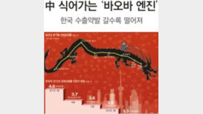 [글로벌 경제 동반침체 위기]中 식어가는 ‘바오바 엔진’… 한국 수출약발 갈수록 떨어져