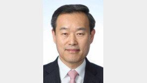 [기고/김영민]‘짝퉁 싸이’… 웃을 일만은 아니다