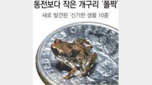 美 애리조나大 ‘신기한 생물 10종’ 발표