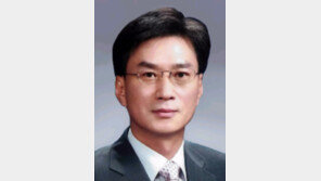 [기고/곽인섭]‘플라스틱 아일랜드’에 발전소 건설을