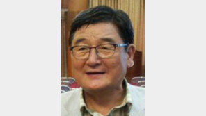 [기고/최하경]시니어 외교단을 아십니까