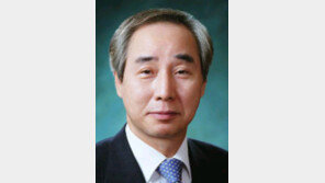 [기고/유광석]‘위안부’ 진상 알리기가 먼저다