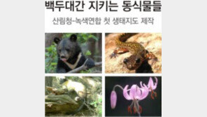 백두대간 가장 많은 수종은 신갈나무