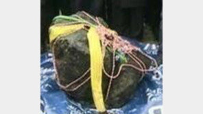 1200여명 부상입힌 600kg 거대 운석, 호수에서 인양...금의 40배 가격