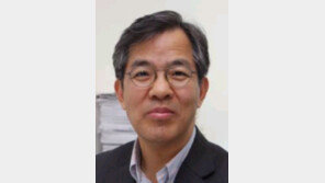 [기고/이병기]닫힌 정치에 발목 잡힌 투자