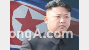 윤상현 “장성택 기관총 사살설-이혼설, 확인된 바 없다”