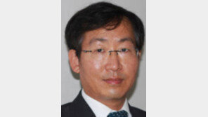 [광화문에서/허두영]변신을 꿈꾸지 않는 로봇에게