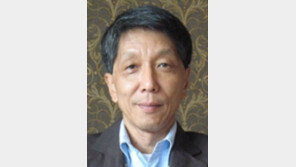 [기고/김억]서울광장 구하기