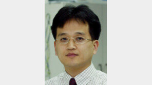 [기자의 눈/민동용]꼬인 정치 못푸는 전병헌의 ‘외교 훈수’