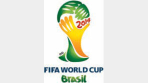 쌍용 “멋모르고 뛴 남아공… 브라질선 무거운 책임감”