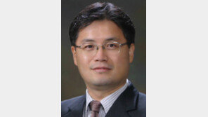 [기고/김상범]정부의 ‘보이는 손’만으론 개혁 성공 못해