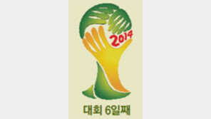 [브라질 2014]오늘의 숫자, 100