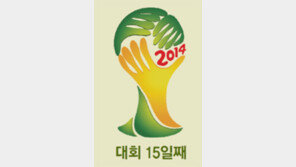 [브라질 2014]오늘의 숫자, 132