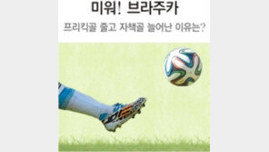 [World Cup Brasil 2014]브라주카, 미워!