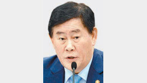 崔부총리 “전세대책 협의중… 과도한 시장개입 반대”