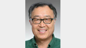 [기고/김익두]‘문화융성’을 이끌 리더가 보이지 않는다