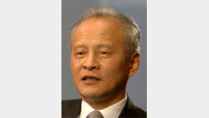 주미 中대사 “北인권 ICC 회부는 내정간섭”