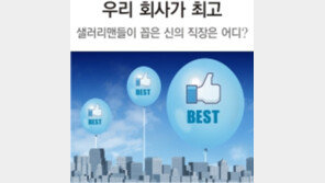 샐러리맨들이 꼽은 ‘최고의 직장’은 어디?