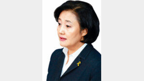 박영선 “이상돈 영입논란, 이용당한 측면 있다”…무슨 뜻?