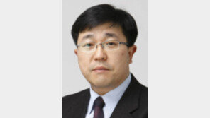 [광화문에서/김영식]메구미와 일본군 위안부