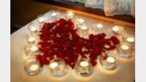 메이필드 호텔, 크리스마스 및 새해 웨딩 프로모션