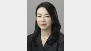 조현아 부사장, 이륙하는 항공기 되돌려 세워…‘승무원 태도 때문?’