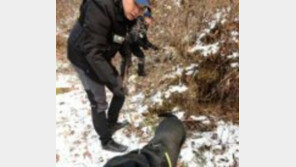 수원서 살점 의심 봉지 추가 발견...팔달산 장기없는 토막 시신 연관?